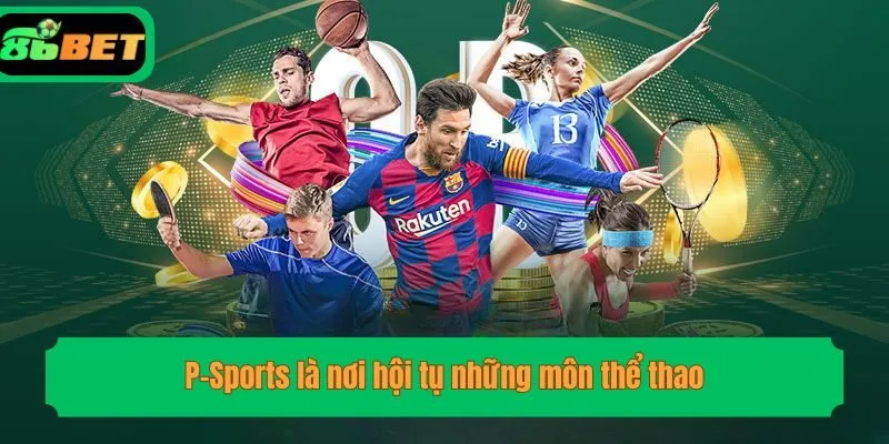 P-Sports là nơi hội tụ những môn thể thao